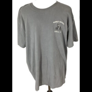 Hardly-Davidson T-Shirt Men's Size XL Gray Calabash NC Beach Bum Bikers Club